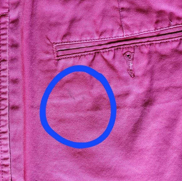 Polo shorts - Picture 6 of 8